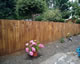 Featheredge fence